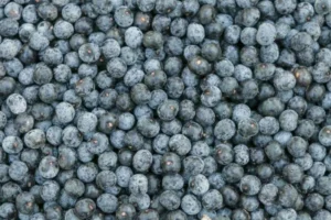 Healthy Acai Berries